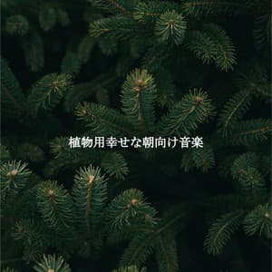 植物用幸せな朝向け音楽 - Restaurant Jazz Klassiker