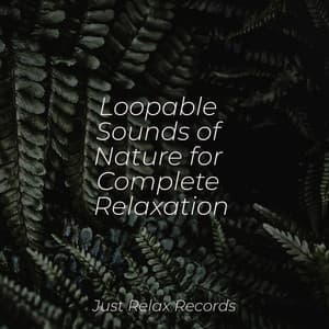 Loopable Sounds of Nature for Complete Relaxation - Dormir