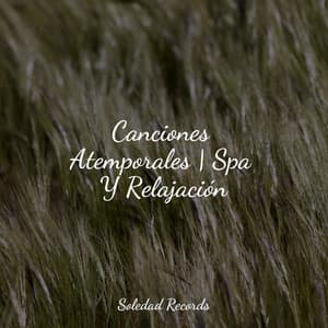 Canciones Atemporales | Spa Y Relajación - Música Para Dormir Inspirada En El Espacio