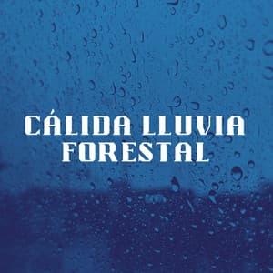Cálida Lluvia Forestal - Llovido