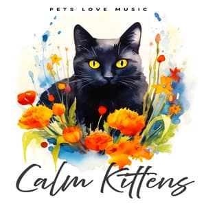 Calm Kittens - PETS LOVE MUSIC