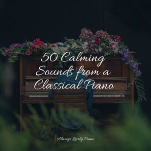 50 Meditative Piano Classics - Piano Bar