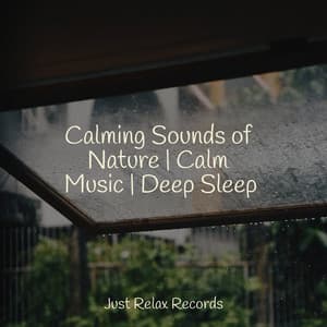 Calming Sounds of Nature | Calm Music | Deep Sleep - Sonidos de la Naturaleza Relajacion