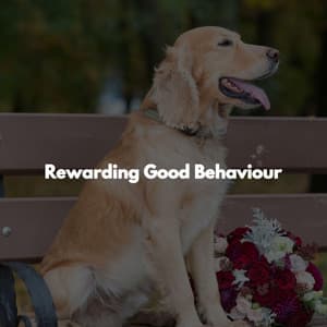 Rewarding Good Behaviour - Acoustic Cafe Music Background Music