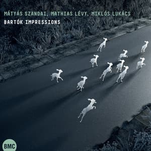 Bartók Impressions - Mátyás Szandai