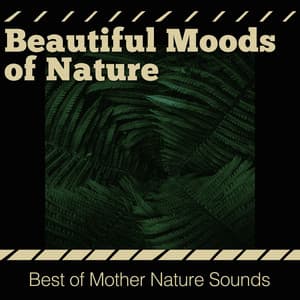 Beautiful Moods of Nature - Best of Mother Nature Sounds