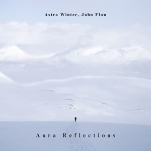Aura Reflections: Navigating the Stars - Astra Winter