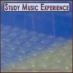 Study Music Experience: Background Focus Music, Reading Music, Study Playlist and Studying Music - Focus Study Music Academy