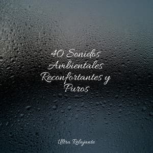 40 Sonidos Ambientales Reconfortantes y Puros - Naturaleza