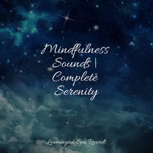 Mindfulness Sounds | Complete Serenity - Forest Soundscapes