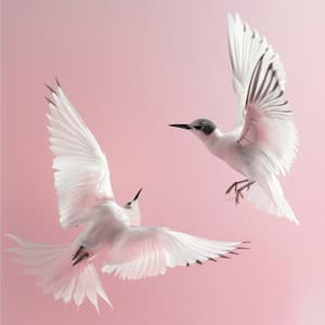 Coro Binaural De Aves: Canciones Del Cielo - 80 88 Hz - Doctor binaural