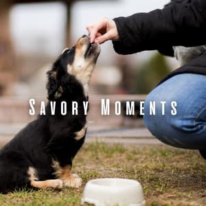 Savory Moments: Chill Music for Dogs' Feasting - Momento