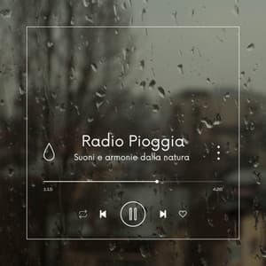 Radio Pioggia – Suoni e armonie dalla natura - Pioggia rilassante