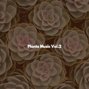 Plants Music Vol.2 - Afternoon Chill Out