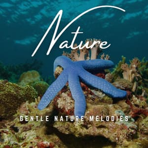 Furry Companions: Gentle Nature Melodies - Lights of Kharma
