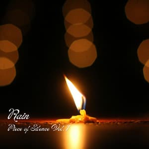 Rain: Piece of Silence Vol. 1 - Weather and Nature Recordings