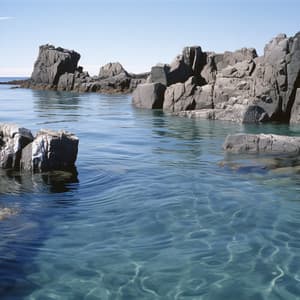 Melodías Acuáticas: Fluidez Musical - Markrain curativo