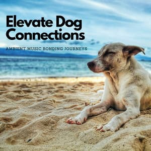 Elevate Dog Connections: Ambient Music Bonding Journeys - The Connected Mind