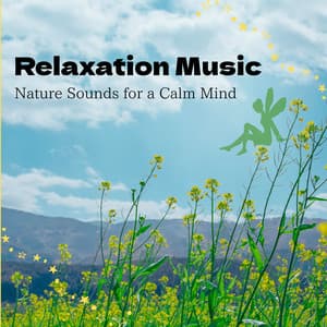 Relaxation Music - Nature Sounds for a Calm Mind - RelaxHealingSound
