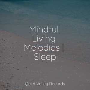 Mindful Living Melodies | Sleep - The Rain Library