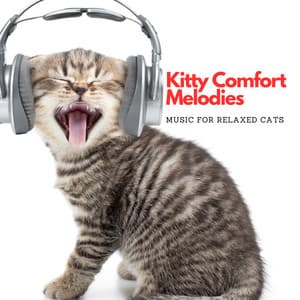 Kitty Comfort Melodies: Music For Relaxed Cats - Cat Music Relaxation