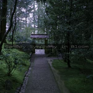 Canopy Symphony in Bloom - Eon Wilder