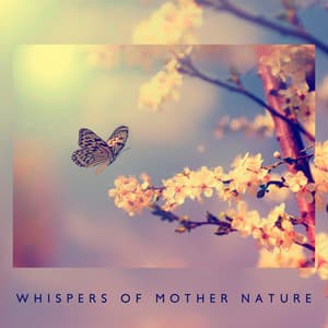 Whispers of Mother Nature: Relaxing Nature Sounds to Make You Feel Better - Stress Relief Calm Oasis