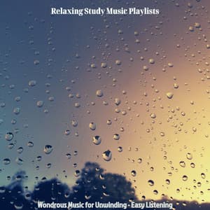 Wondrous Music for Unwinding - Easy Listening - Relaxing Study Music Playlists