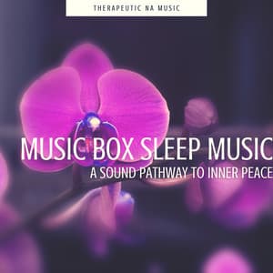 Music Box Sleep Music: A Sound Pathway to Inner Peace - Therapeutic NA Music