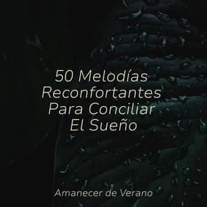 50 Melodías Reconfortantes Para Conciliar El Sueño - Children's Music