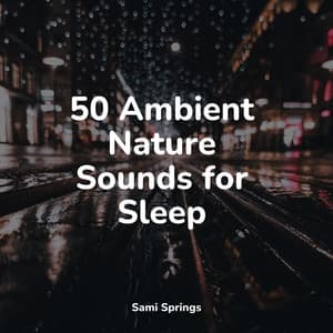 50 Ambient Nature Sounds for Sleep - Big Sounds