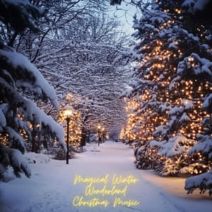 Magical Winter Wonderland Christmas Music - Holiday Christmas Music Playlist