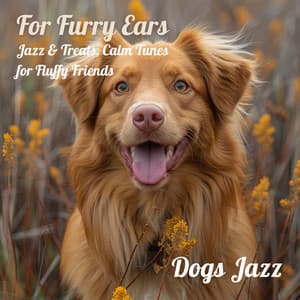 For Furry Ears: Jazz & Treats, Calm Tunes for Fluffy Friends - Dogs Jazz