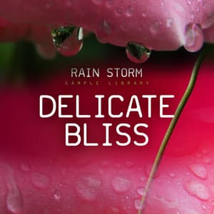 Delicate Bliss - Rain Storm Sample Library
