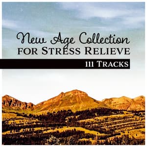 New Age Collection for Stress Relieve – 111 Tracks for Relaxation Session - Positive Thinking World
