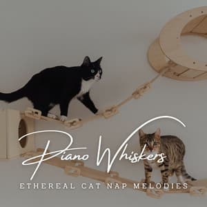 Piano Whiskers and Harmony: Cat Serenades - Romantic Piano