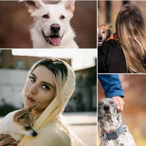 Music for Energetic Puppy - Trumpet, Electric Piano, Alto Sax and Soprano Sax - Dogs at Home