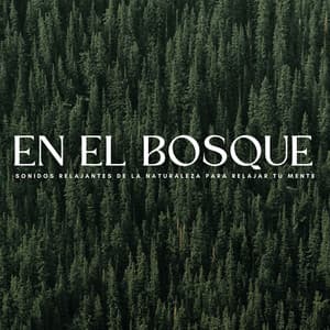 En El Bosque: Sonidos Relajantes De La Naturaleza Para Relajar Tu Mente - Naturaleza y Sonidos Fondos