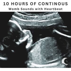 10 Hours Continuous WOMB Sounds With Heartbeat - White Noise Radiance