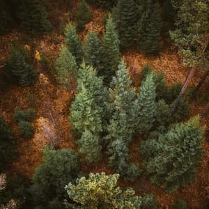 Soft Calming White Noise - Pink Noise Baby Sleep