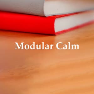 Modular Calm - Sleeping Music Zone