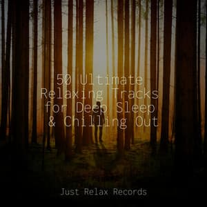 50 Ultimate Relaxing Tracks for Deep Sleep & Chilling Out - Meditar Profundamente