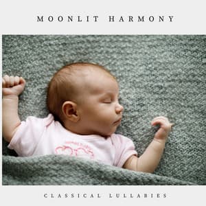 Moonlit Harmony: Comforting Lullabies - Classical Lullabies