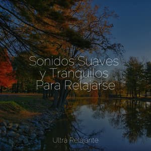 Sonidos Suaves y Tranquilos Para Relajarse - Sons da Natureza Relax