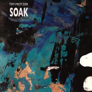 Soak - Tim Motzer