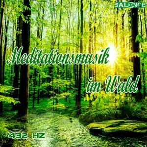Meditationsmusik im Wald - 432 HZ Musik
