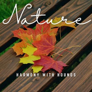 Harmony with Hounds: Acoustic Soundwaves - Music for Calming Dogs