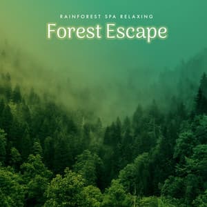 Forest Escape - Rainforest Spa Relaxing
