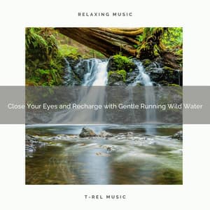 2021 New: Close Your Eyes and Recharge with Gentle Running Wild Water - Sleep Sound Library