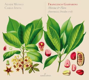 Gasparini: Mirena e Floro - Francesco Gasparini